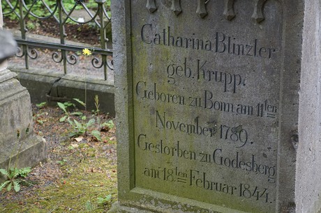 Bad Godesberg